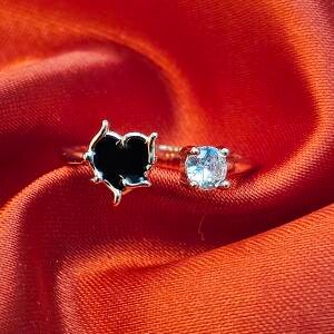 icon Ring Collections