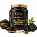 shilajit-vyasa-telugu