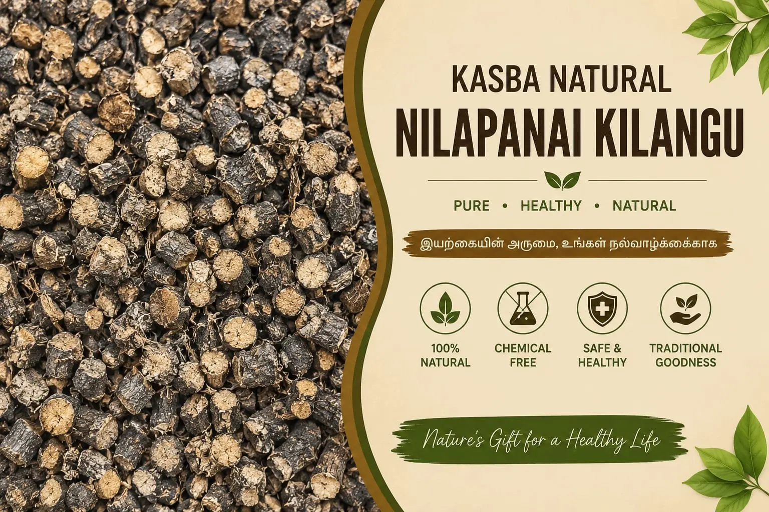 NILAPANAI KILANGU